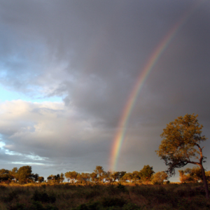 Kruger National Park